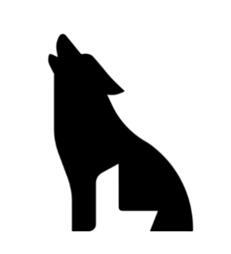 Lupa Technology